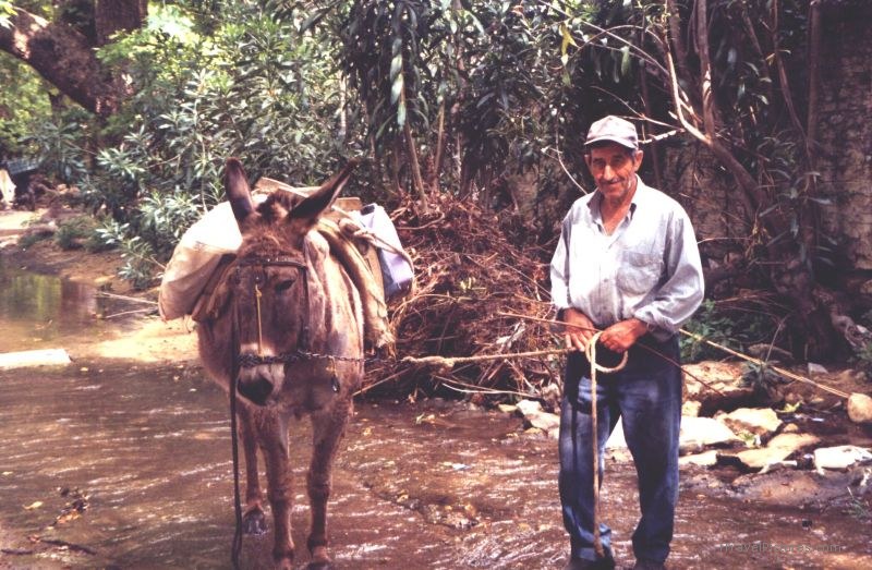Naxos mule farmer